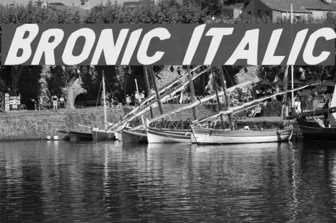 Bronic Italic Font examples