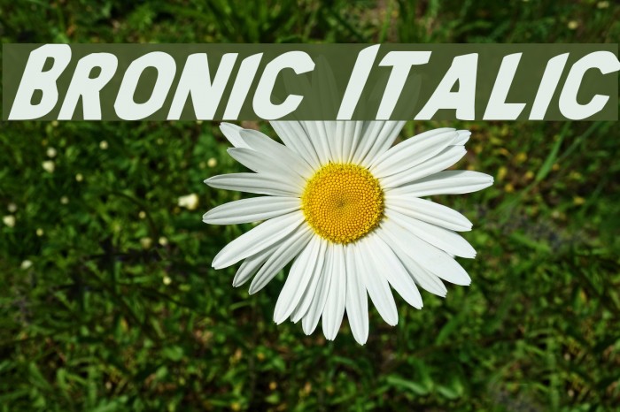Bronic Italic Polices examples