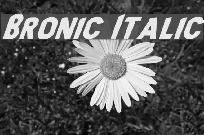 Bronic Italic Font examples