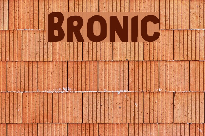 Bronic Font examples