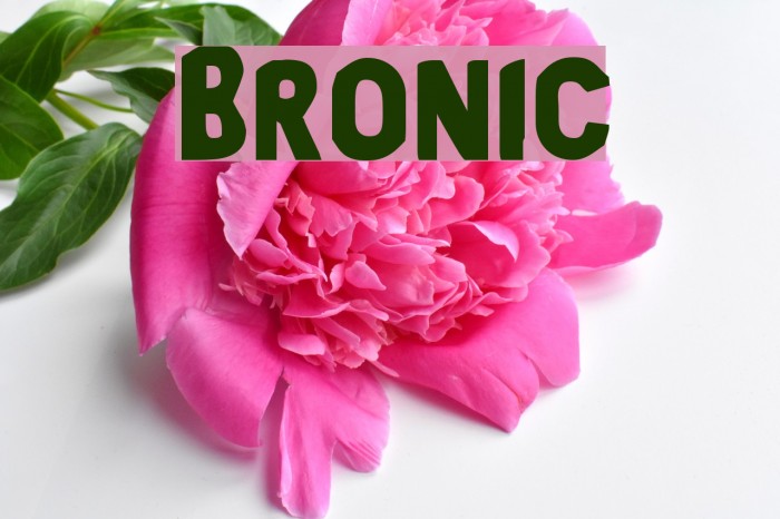 Bronic Font examples