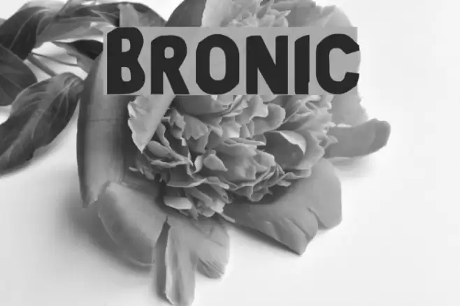 Bronic Caratteri examples