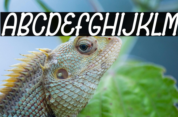 Bronice Italic Example 2