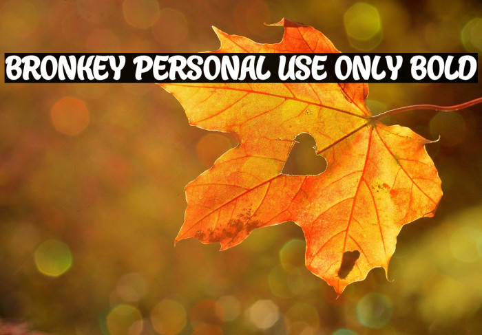Bronkey PERSONAL USE ONLY Bold Example 1
