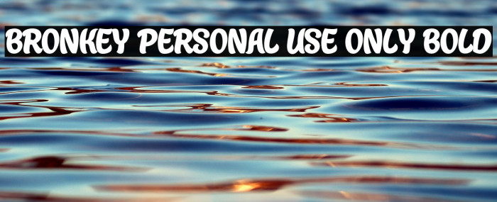 Bronkey PERSONAL USE ONLY Bold Example 3