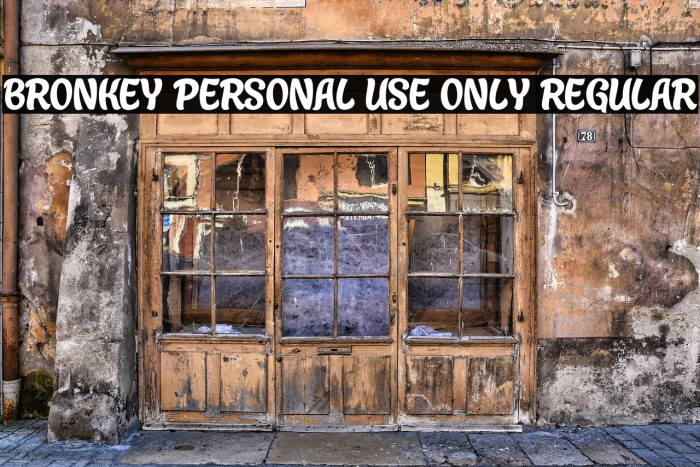 Bronkey PERSONAL USE ONLY Regular Example 2
