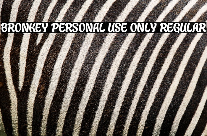 Bronkey PERSONAL USE ONLY Regular Example 3