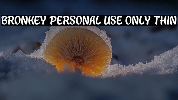 Bronkey PERSONAL USE ONLY Thin Example 1