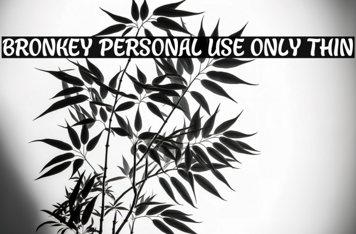 Bronkey PERSONAL USE ONLY Thin Example 2