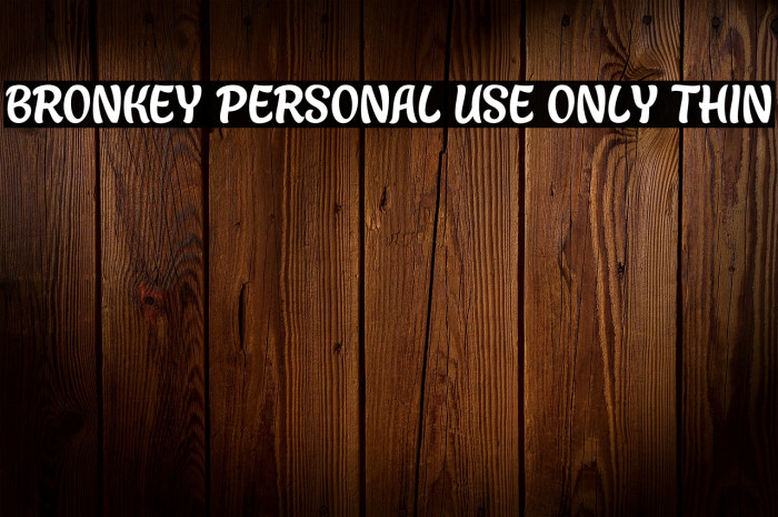 Bronkey PERSONAL USE ONLY Thin Example 3
