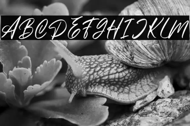 Bronskiy フォント examples