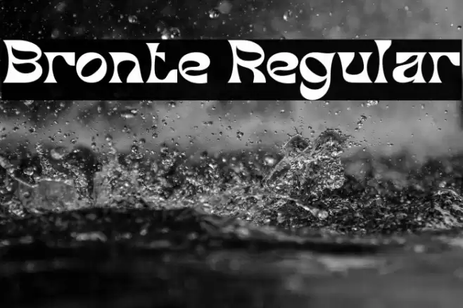 Bronte Regular Fuentes examples