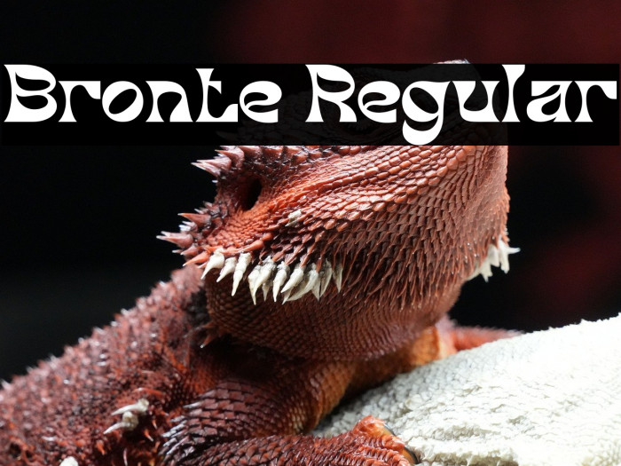 Bronte Regular Example 3