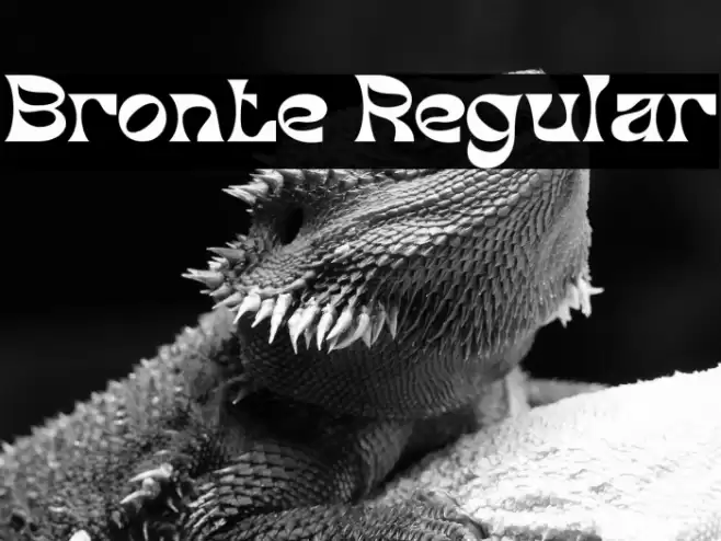Bronte Regular Fuentes examples
