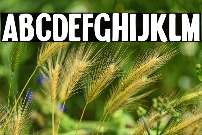 Brontoburger Example 3