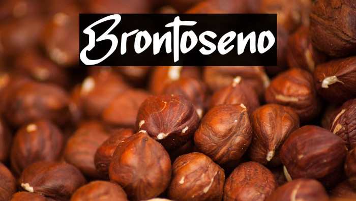 Brontoseno Example 3