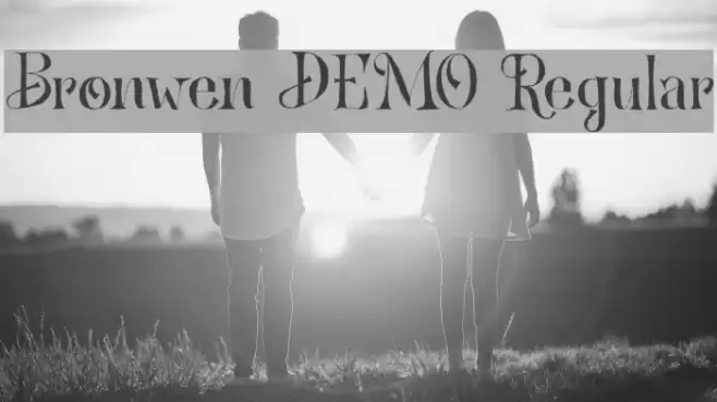 Bronwen DEMO Regular Font examples