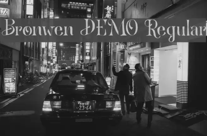 Bronwen DEMO Regular Font examples