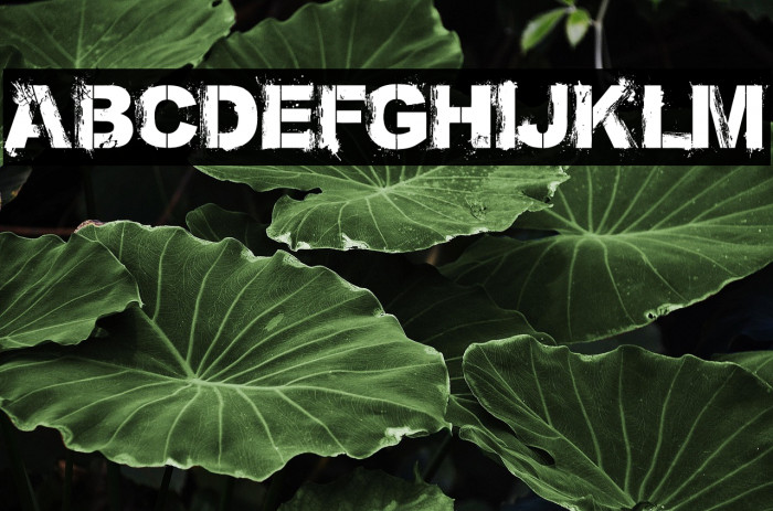 Bronx Bystreets(RUS BY LYAJKA) Example 1