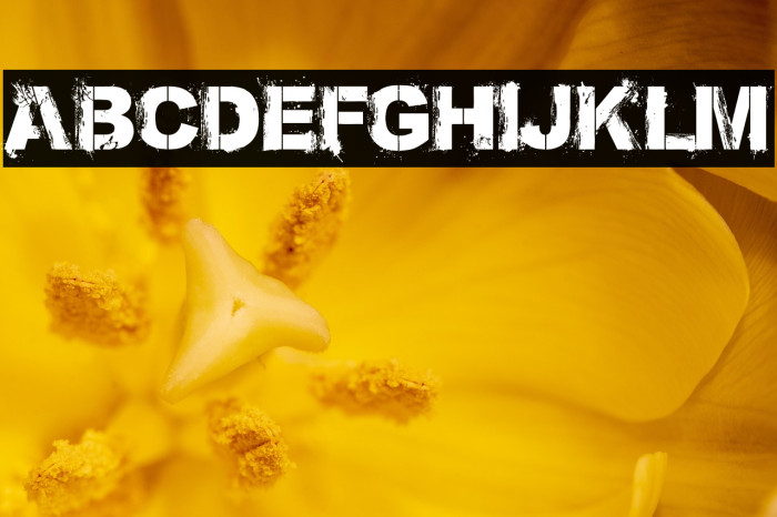 Bronx Bystreets(RUS BY LYAJKA) Example 2