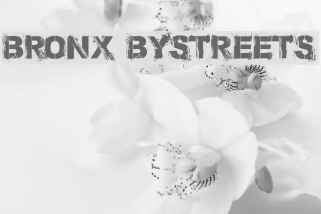 Bronx Bystreets Font examples