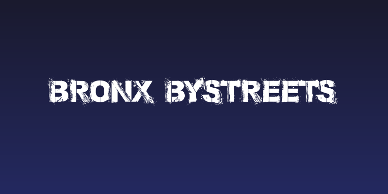 Bronx Bystreets Social Header
