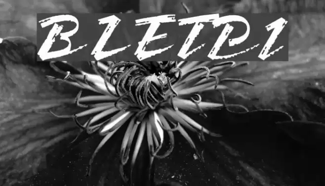 BronxLETPlain1 Font examples