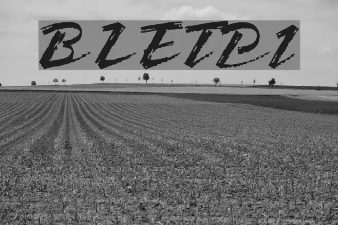 BronxLETPlain1 Font examples