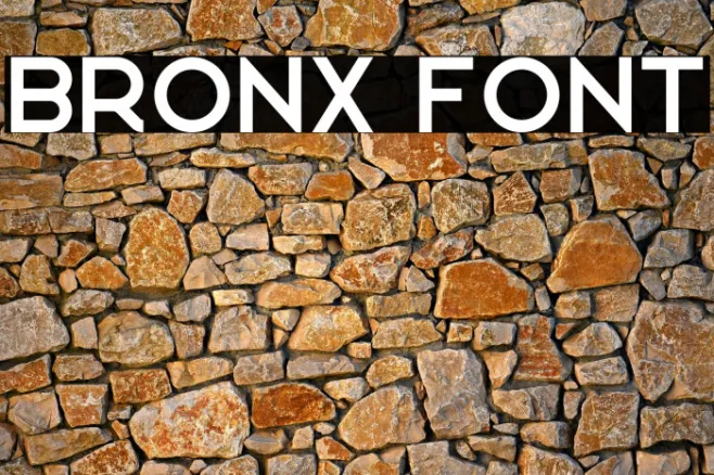 Bronx Example 2