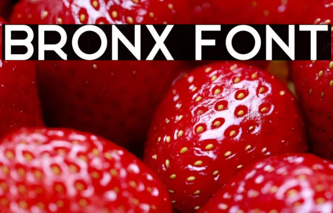 Bronx Example 3