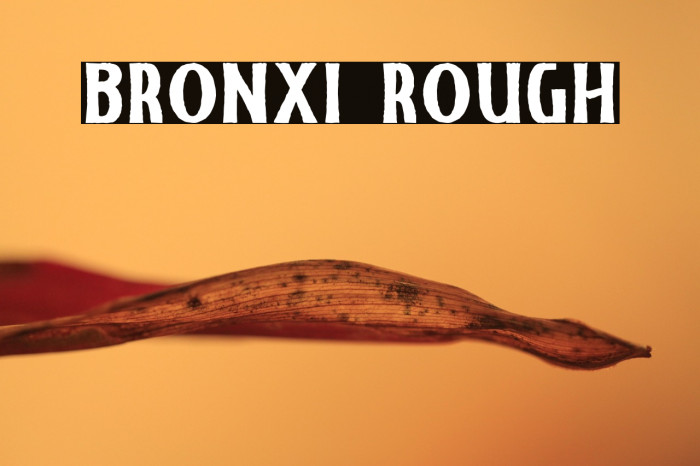 Bronxi Rough Example 3