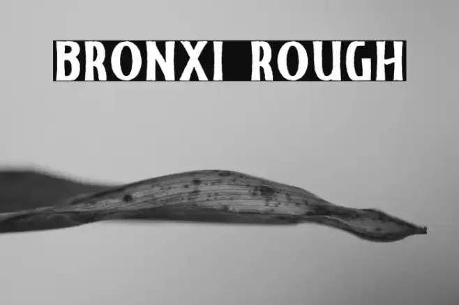 Bronxi Rough Font examples