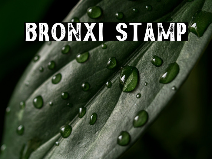 Bronxi Stamp Example 2