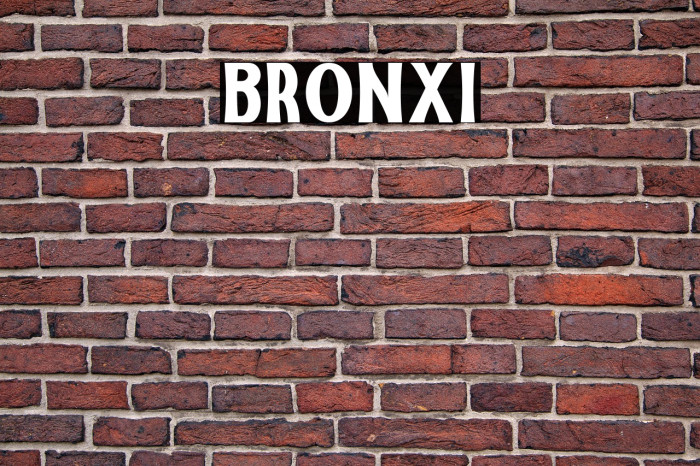 Bronxi Example 1