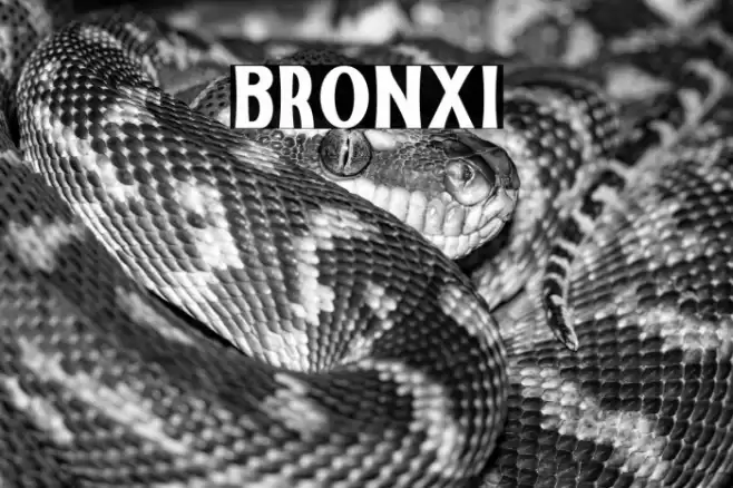 Bronxi Font examples