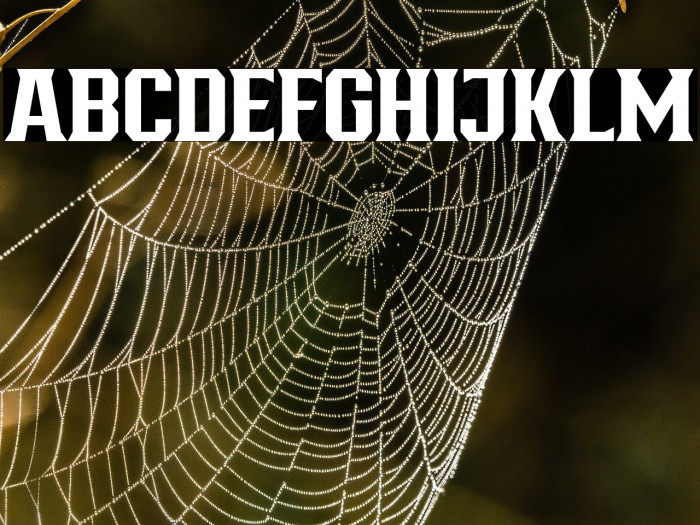 BronzierMedium Example 1