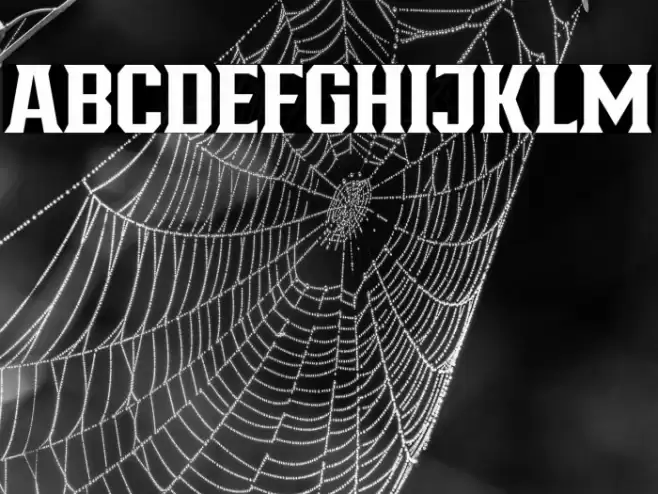 BronzierMedium Font examples