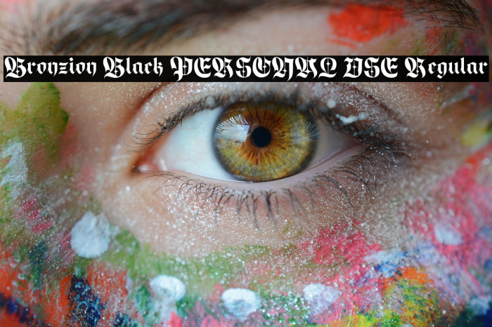 Bronzion Black PERSONAL USE Regular Example 1