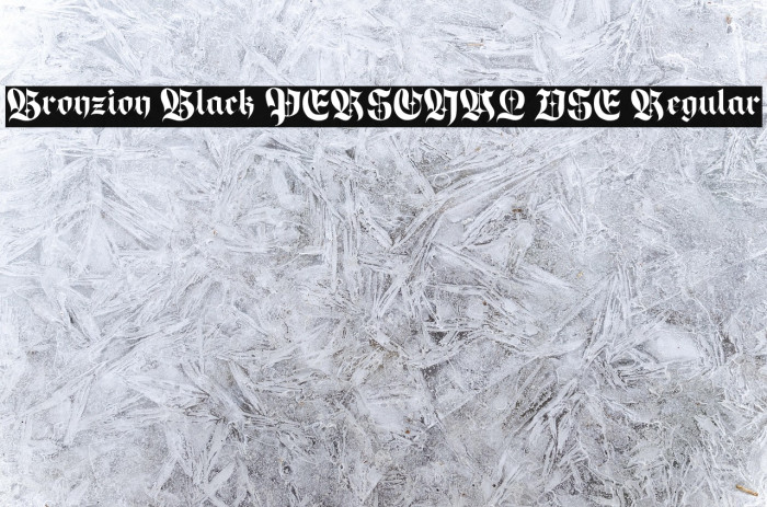 Bronzion Black PERSONAL USE Regular Example 2