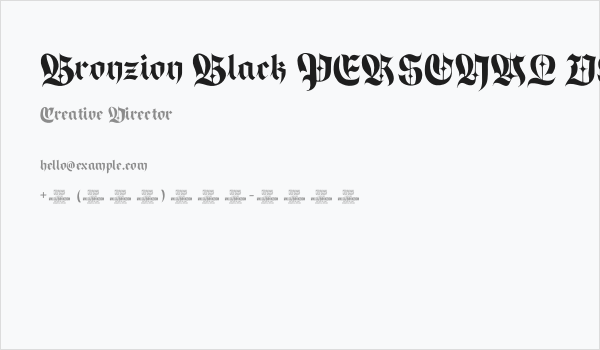 Bronzion Black PERSONAL USE Regular Business Card