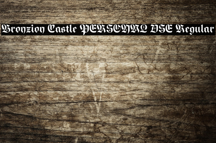 Bronzion Castle PERSONAL USE Regular Example 3