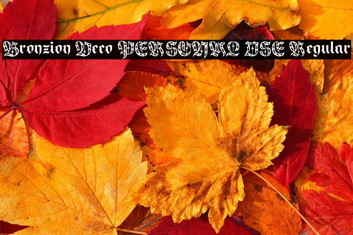 Bronzion Deco PERSONAL USE Regular Example 1