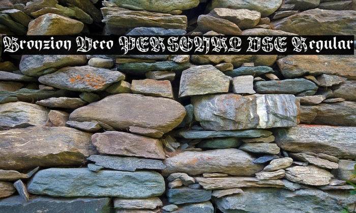 Bronzion Deco PERSONAL USE Regular Example 2