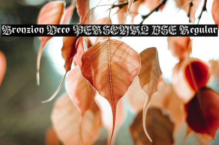 Bronzion Deco PERSONAL USE Regular Example 3