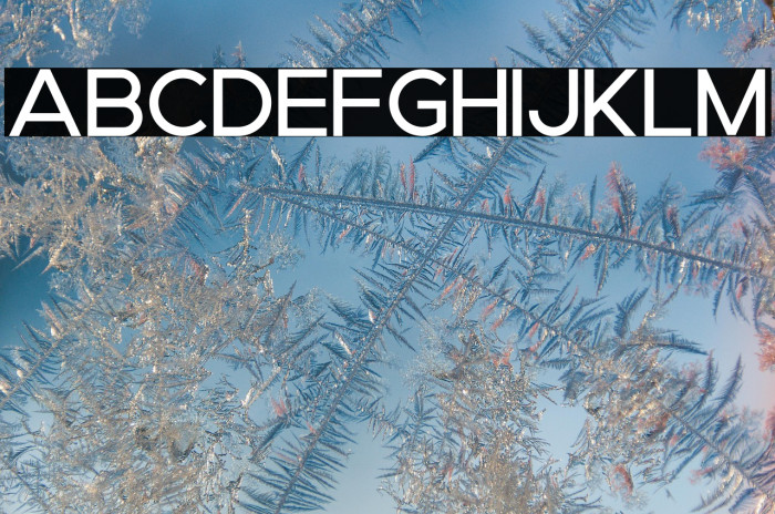 Brood Medium Trial Example 1