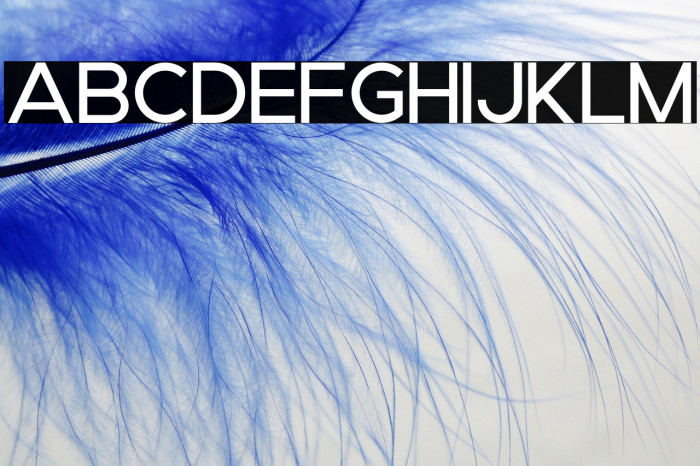 Brood Medium Trial Example 2