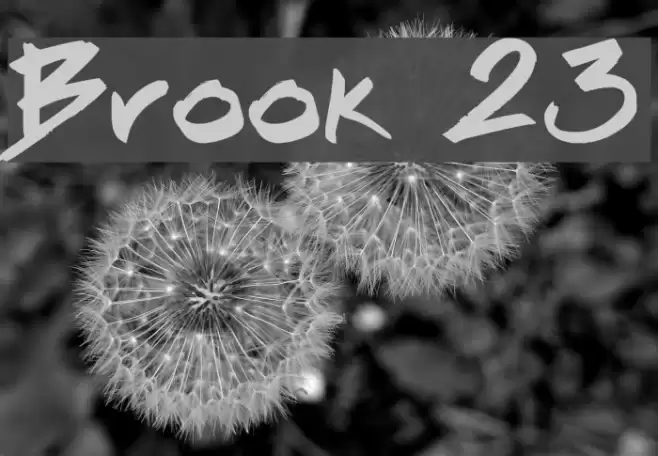 Brook 23 Font examples