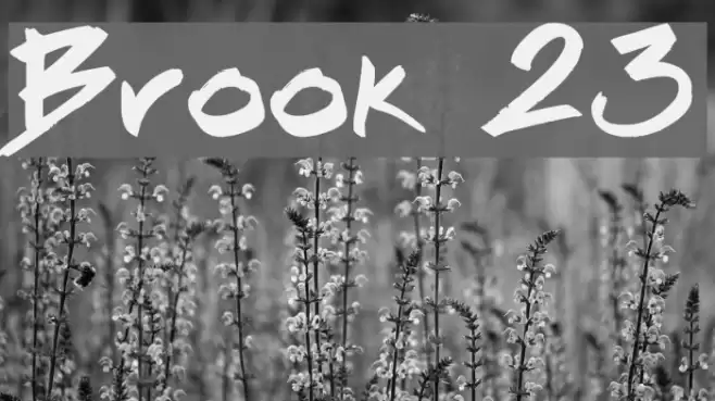 Brook 23 Font examples