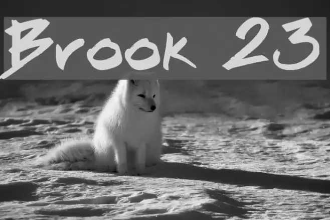 Brook 23 Font examples
