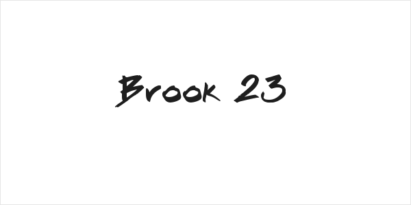 Brook 23 Logo